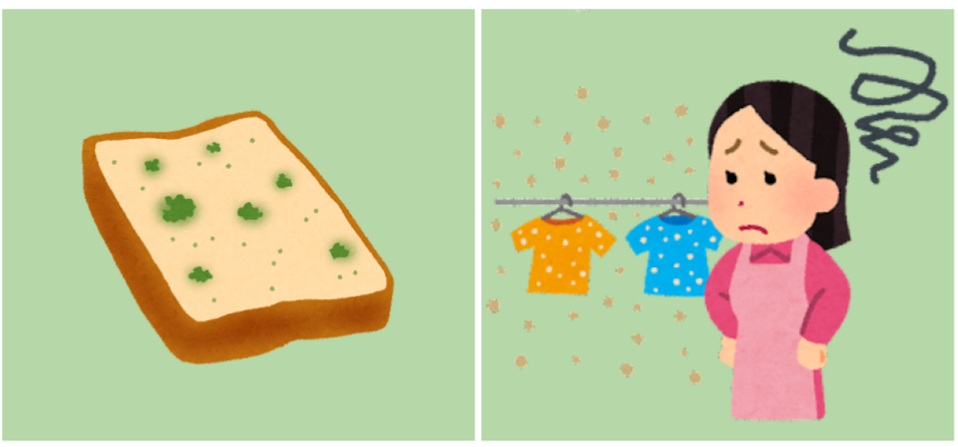 發霉麵包與發霉衣服