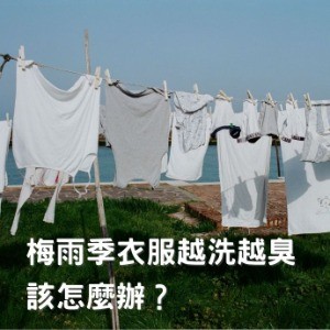 文章圖