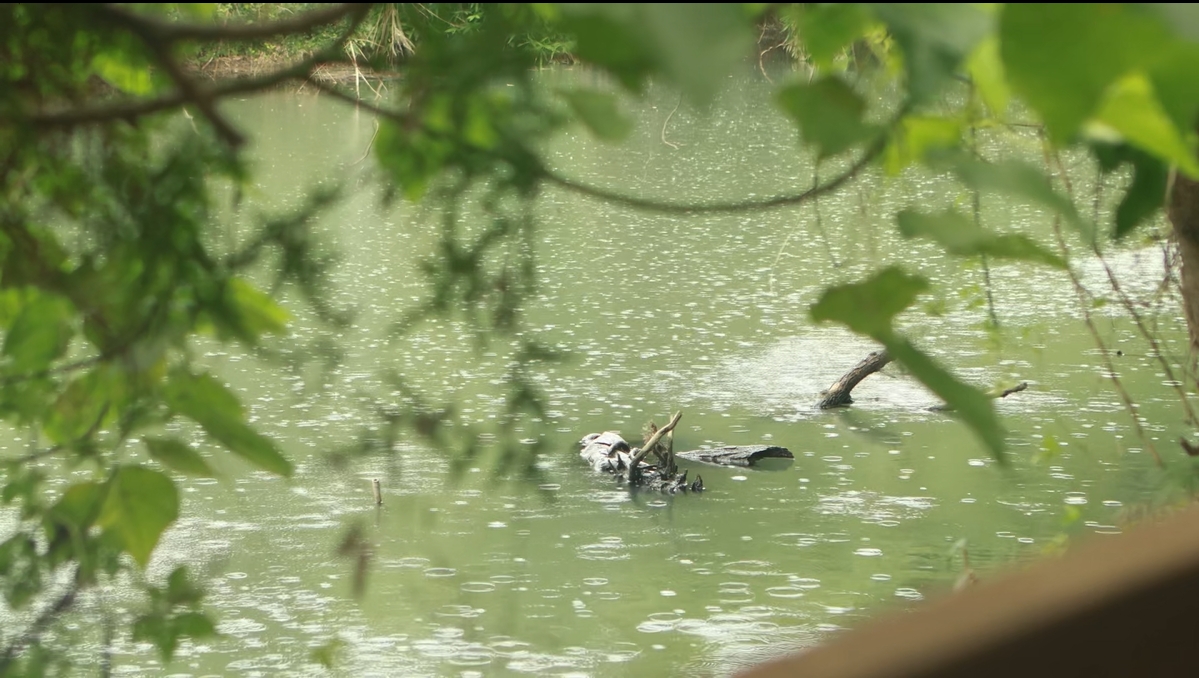 原鄉踏查記錄片《最美的河流不是夢》劇照