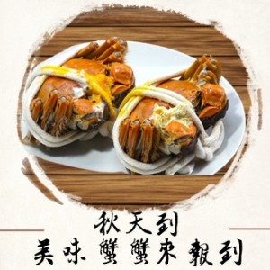 文章圖