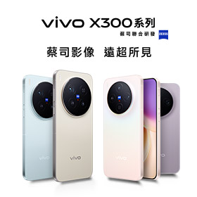 vivo X300